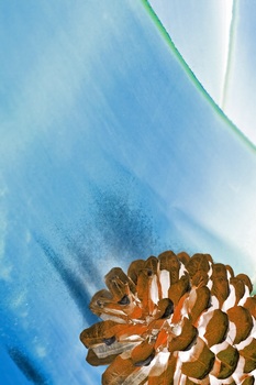N 081C